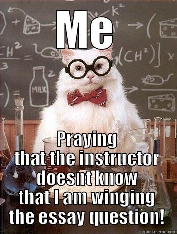 ME PRAYING THAT THE INSTRUCTOR DOESNT KNOW THAT I AM WINGING THE ESSAY QUESTION! Chemistry Cat