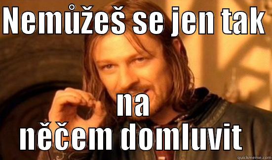 NEMŮŽEŠ SE JEN TAK  NA NĚČEM DOMLUVIT  Boromir