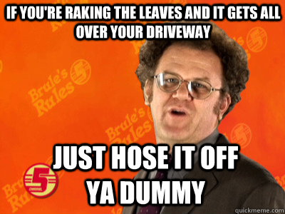 If you're raking the leaves and it gets all over your driveway Just hose it off ya dummy - If you're raking the leaves and it gets all over your driveway Just hose it off ya dummy  Dr. Steve Brule