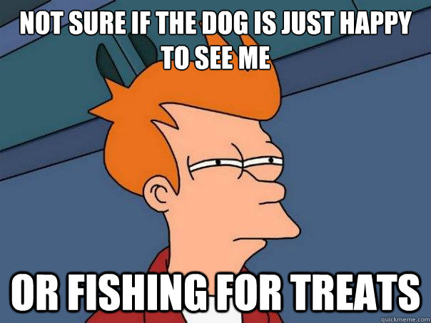 Not sure if the dog is just happy to see me or fishing for treats  Futurama Fry