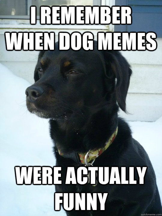 I remember when dog memes were actually funny - I remember when dog memes were actually funny  Philosophical Puppy