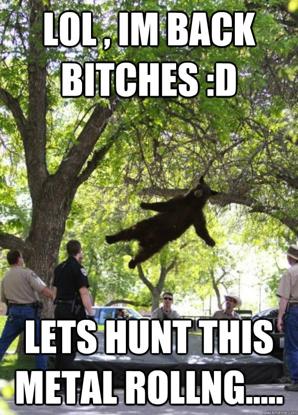 lol , im back bitches :D lets hunt this metal rollng.....  i am a falling bear
