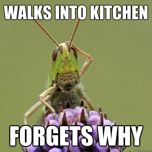 Walks into Kitchen Forgets why  Confused grasshopper