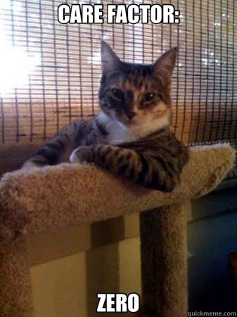 CARE FACTOR: ZERO  The Most Interesting Cat in the World