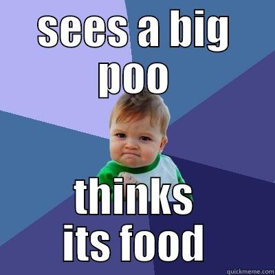 SEES A BIG POO THINKS ITS FOOD Success Kid