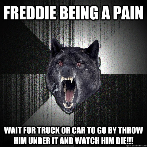freddie being a pain wait for truck or car to go by throw him under it and watch him die!!!  Insanity Wolf