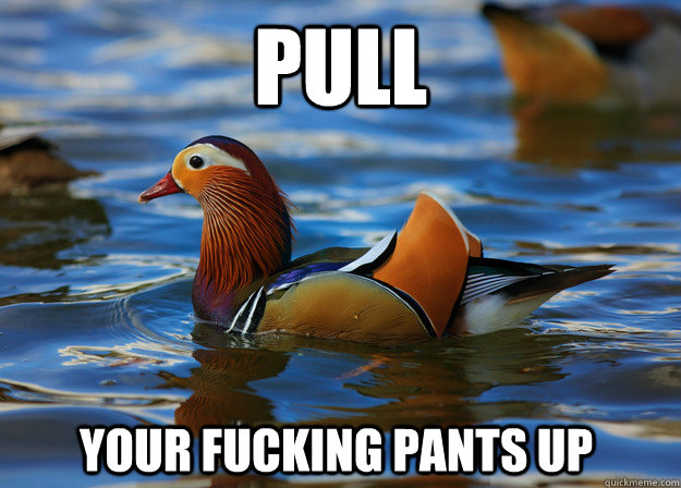 Pull Your fucking pants up  