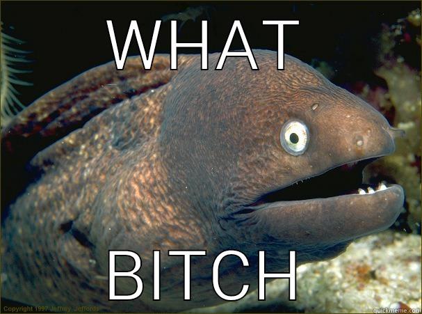 WHAT BITCH Bad Joke Eel