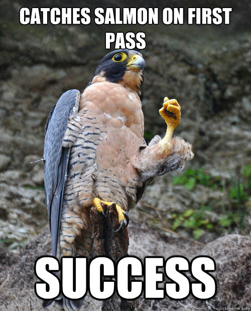 Catches salmon on first pass success  Victory Hawk