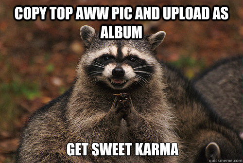 Copy top aww pic and upload as album Get sweet karma  Insidious Racoon 2