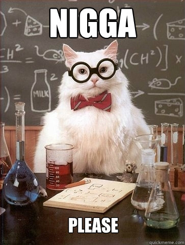 NIGGA PLEASE  Chemistry Cat