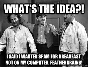 What's the idea?! I said I wanted spam for breakfast, not on my computer, featherbrains!  Three Stooges