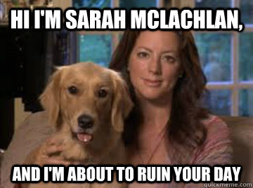 Hi I'm Sarah Mclachlan, And i'm about to ruin your day - Hi I'm Sarah Mclachlan, And i'm about to ruin your day  Scumbag Sarah McLachlan
