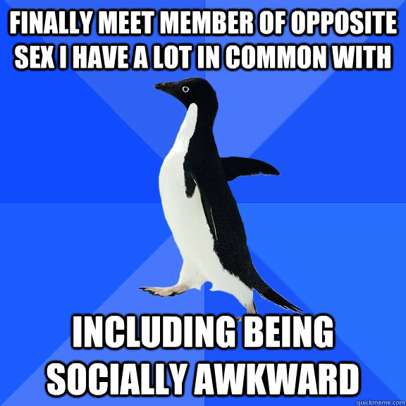 finally meet member of opposite sex i have a lot in common with including being socially awkward  Socially Awkward Penguin