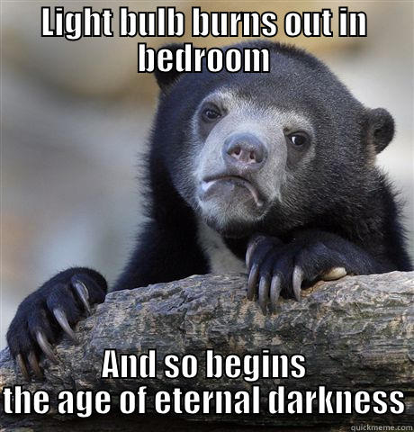 LIGHT BULB BURNS OUT IN BEDROOM AND SO BEGINS THE AGE OF ETERNAL DARKNESS Confession Bear