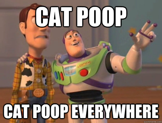 Cat Poop Cat Poop Everywhere  Buzz Lightyear