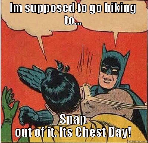 IM SUPPOSED TO GO BIKING TO... SNAP OUT OF IT. ITS CHEST DAY! Batman Slapping Robin