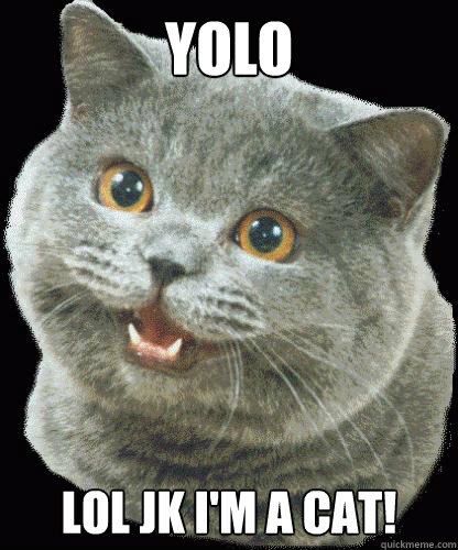 YOLO LOL JK I'M A CAT! - YOLO LOL JK I'M A CAT!  HappyCat