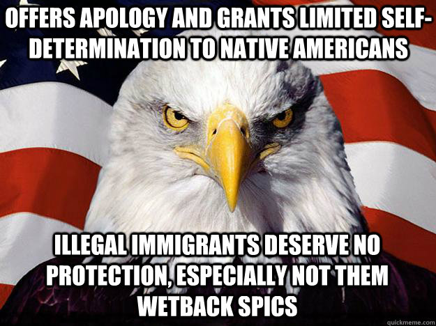 Offers apology and grants limited self-determination to Native americans illegal immigrants deserve no protection, especially not them wetback spics  Patriotic Eagle