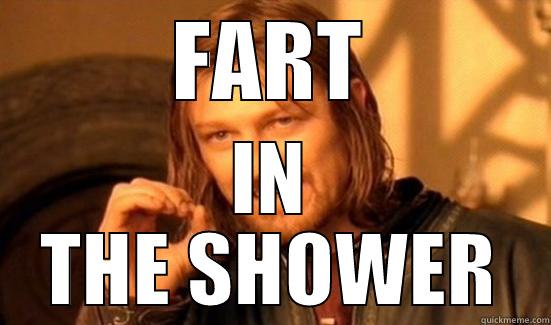 FART IN THE SHOWER Boromir