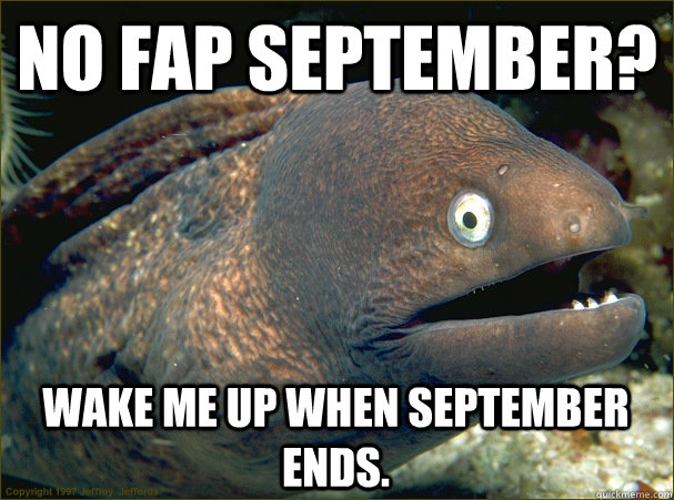 no fap September? wake me up when september ends. - no fap September? wake me up when september ends.  Bad Joke Eel