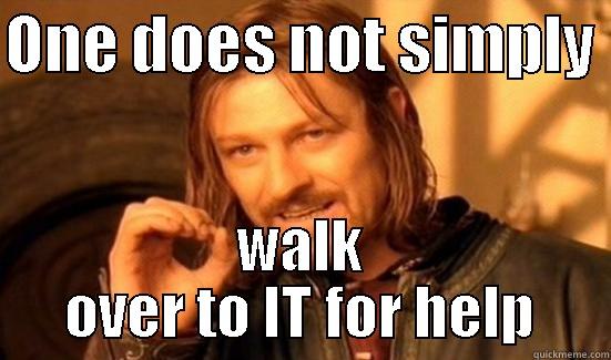 ONE DOES NOT SIMPLY  WALK OVER TO IT FOR HELP Boromir