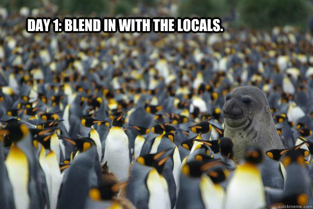 day 1: blend in with the locals.   specialist seal