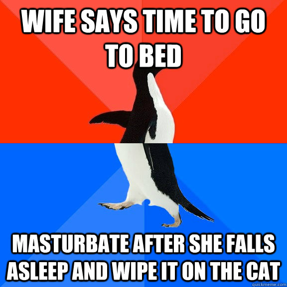 wife says time to go to bed masturbate after she falls asleep and wipe it on the cat  Socially Awesome Awkward Penguin