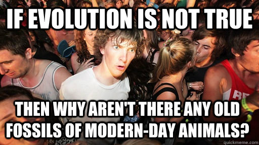 If evolution is not true then why aren't there any old fossils of modern-day animals? - If evolution is not true then why aren't there any old fossils of modern-day animals?  Sudden Clarity Clarence