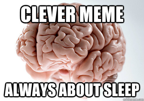 Clever Meme ALWAYS ABOUT SLEEP  Scumbag Brain