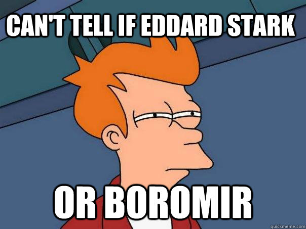 can't tell if Eddard Stark or boromir - can't tell if Eddard Stark or boromir  Futurama Fry