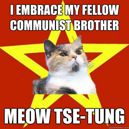 I embrace my fellow communist brother Meow tse-tung  Lenin Cat