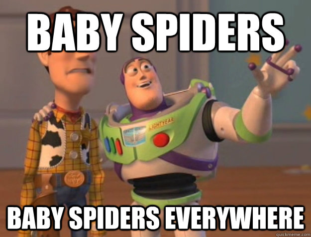baby spiders baby spiders everywhere - baby spiders baby spiders everywhere  Buzz Lightyear