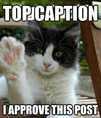 Top caption I approve this post  High Five Cat