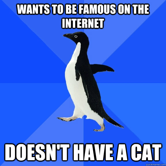 Wants to be famous on the internet doesn't have a cat  Socially Awkward Penguin