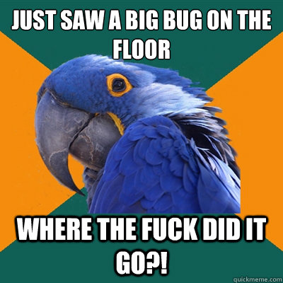 Just saw a big bug on the floor Where the fuck did it go?!  Paranoid Parrot