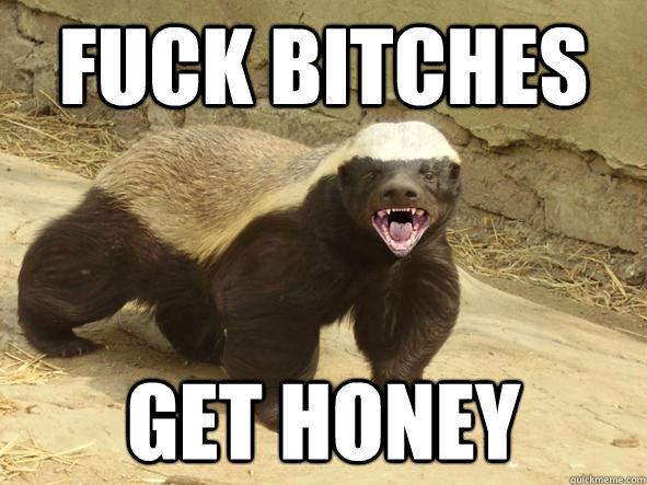 Fuck Bitches Get Honey - Fuck Bitches Get Honey  Badass Honey Badger