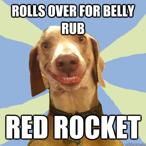 rolls over for belly rub red rocket  
