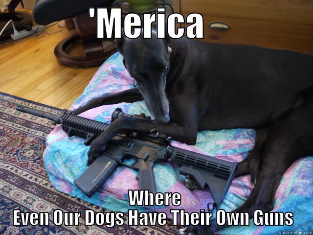 Black Dog Black Gun -              'MERICA                 WHERE EVEN OUR DOGS HAVE THEIR OWN GUNS  Misc
