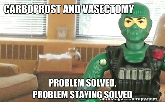 Carboprost and vasectomy  Problem solved, 
problem staying solved - Carboprost and vasectomy  Problem solved, 
problem staying solved  anti-baby ranger