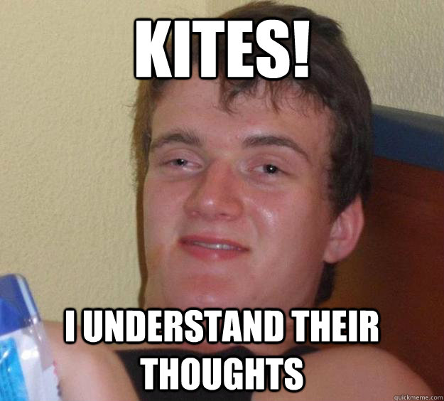 Kites! I understand their thoughts  10 Guy