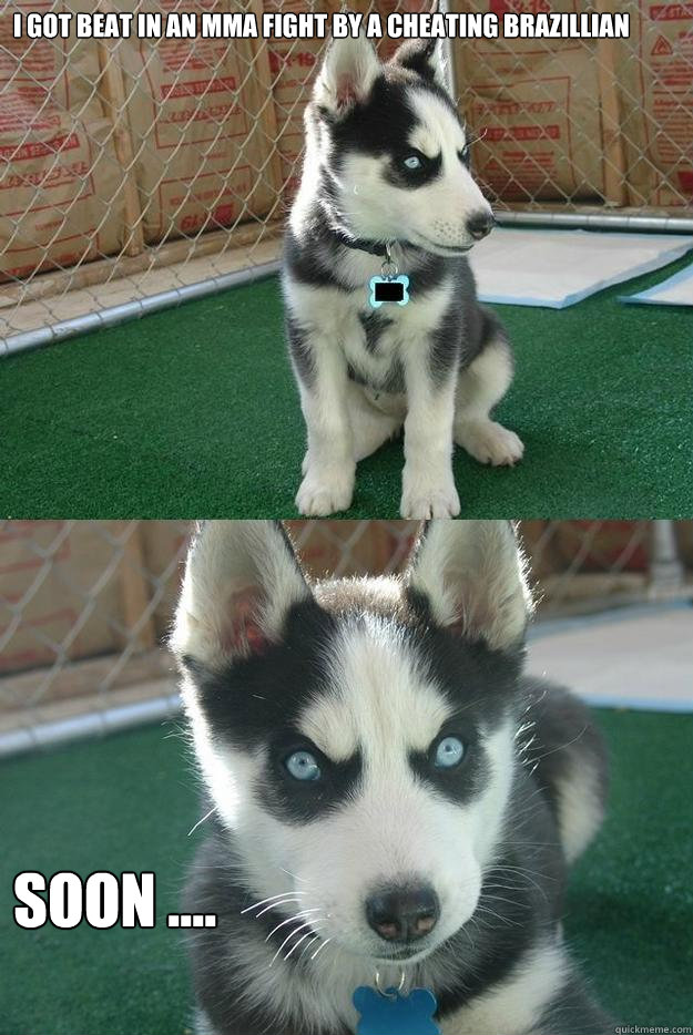 I got beat in an MMA fight by a cheating Brazillian soon ....  Insanity puppy