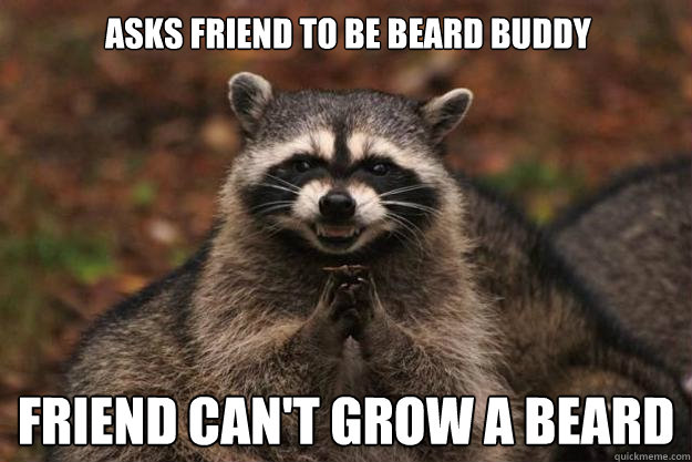 Asks friend to be beard buddy Friend can't grow a beard  Evil Plotting Raccoon