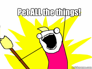 Pet ALL the things!  All The Things