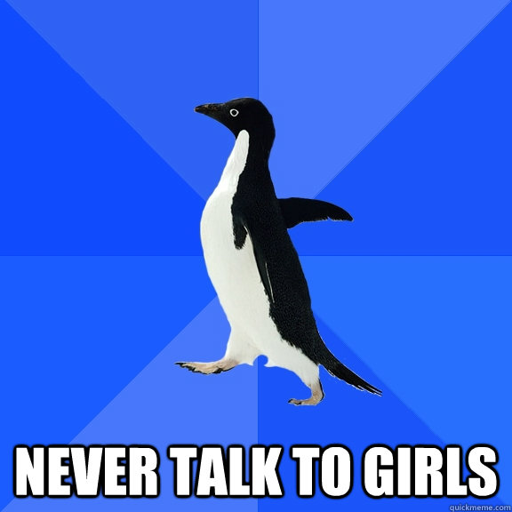 Never talk to girls  Socially Awkward Penguin
