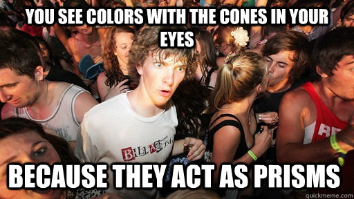 You see colors with the cones in your eyes because they act as prisms  Sudden Clarity Clarence