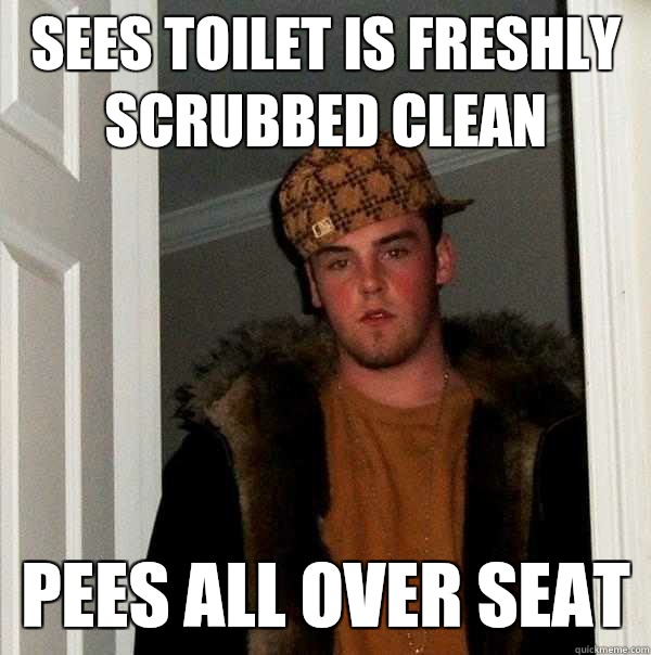 Sees toilet is freshly scrubbed clean Pees all over seat  Scumbag Steve