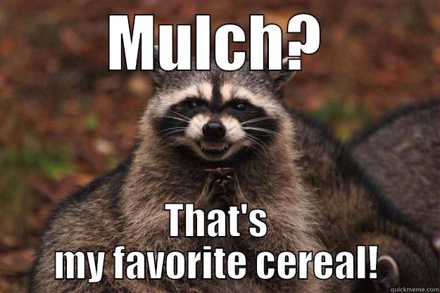 MULCH? THAT'S MY FAVORITE CEREAL! Evil Plotting Raccoon