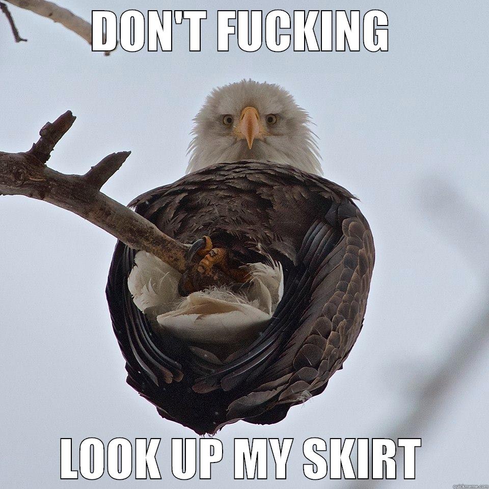 DON'T FUCKING LOOK UP MY SKIRT Misc