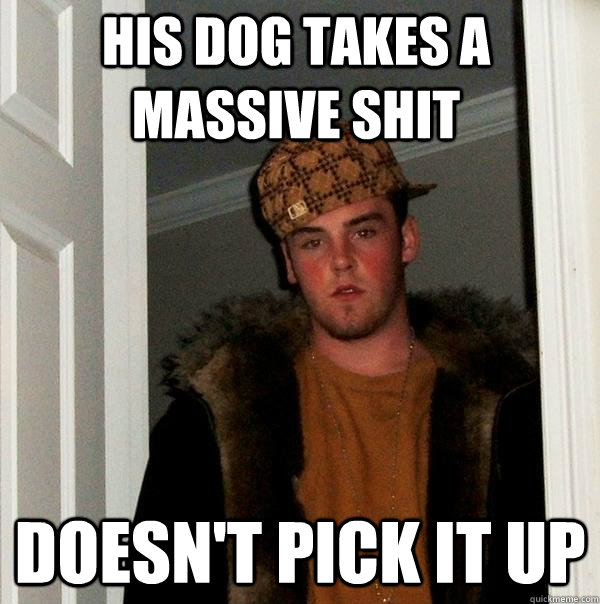 His dog takes a massive shit Doesn't pick it up  Scumbag Steve